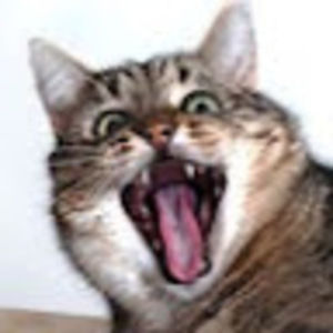 Meet your Posher, Tris